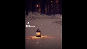 ماهذا؟ يوسف الجرادي مسجد الرضاء#تلاوة قمة في الروعة