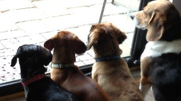 The Dr. Christman Show Trailer - Created using Flixpress.com