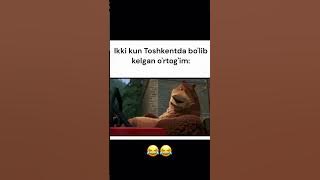 Kazo Kazolardanman men