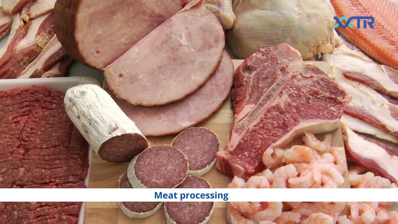 VTR Biotech - exploring sustainable food enzymes technology