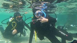 Jack & Tom's diving experience - February 2026 screenshot 1