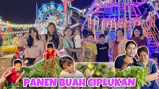 Download Lagu PANEN SAYUR BUAT MAMA KU, LANJUT KEPASAR MALAM PART2 ORANG SATU KAMPUNG KELUAR SEMUA MP3 Download Lagu PANEN SAYUR BUAT MAMA KU, LANJUT KEPASAR MALAM PART2 ORANG SATU KAMPUNG KELUAR SEMUA MP3