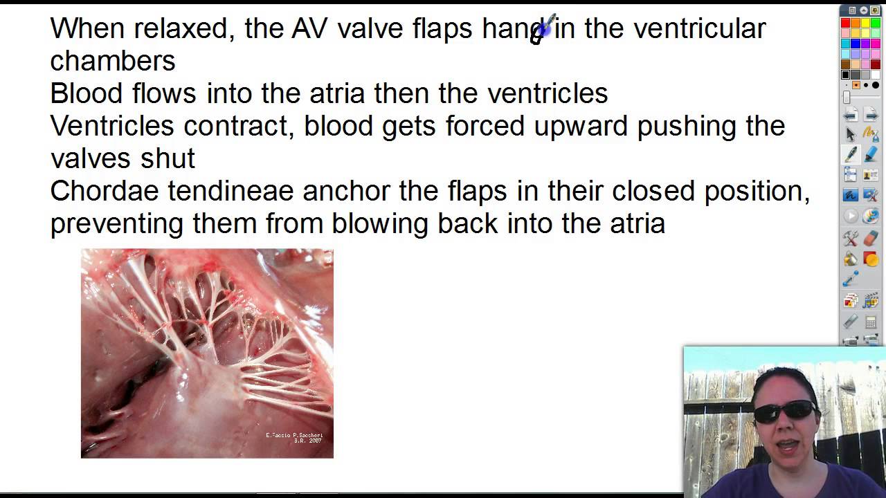 7-3 valves - YouTube