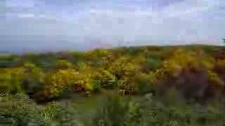 Spring_in_Felgueiras_Village