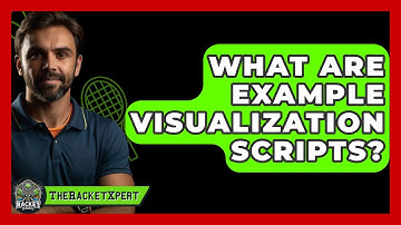 What Are Example Visualization Scripts? - The Racket Xpert