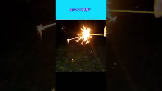 庭キャンプ夏祭り 古いスバルサンバー スーパーチャージャー4WDを整備してキャンピングカーを自作します。 |軽自動車を車検整備して、車中泊できるようにします。