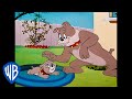 Tom  jerry  the best father  son duo ever  classic cartoon compilation  wb kids