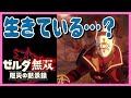 考察 [各キャラクター] ゼルダ無双　厄災の黙示録 ブレスオブザワイルド [#14]