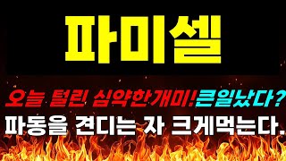 [파미셀 주가전망] 긴급속보!!! 오늘 털린 심약한 개미! 큰일났다!? 파동을 견디는 자 크게먹는다. #파미셀