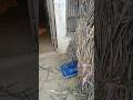 Ground Scanner KS 700 GPR ANALYSIS USING IN A OLD HOUSE CHECKING