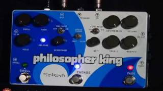 Pigtronix Philosopher King - YouTube