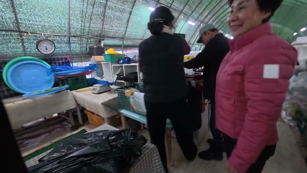 2026년 2월 14일 - 까치까치 설날 전 고향집