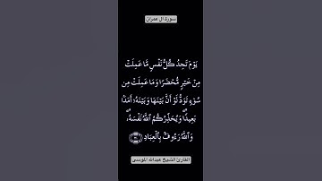 تلاوة عطرة من سورة ال عمران