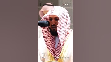 تلاوة مرئية سورة التين الشيخ ماهر المعيقلي