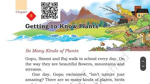Getting to Know Plants| Class 3|EVS|CHAPTER 4| TYPES OF PLANTS| PARTS OF PLANTS|FULL CHAPTER|NCERT
