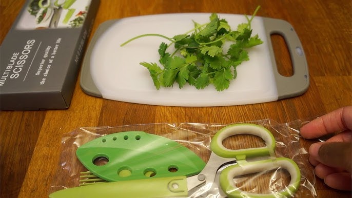 Multi-Blade Kitchen Scissors for Herbs and Green Leaves