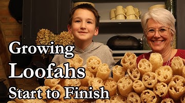 The Loofah Journey: From Tiny Seed to Eco-Friendly Sponge