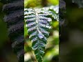 water drops #ai