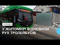 У Житомирі вийшли на маршрути тролейбуси, термін дії безлімітних транспортних карток продовжать