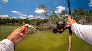 Snook Fishing the Florida Everglades with NLBN Lures!!