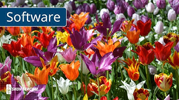 Eindgebruiker uitgelicht: Meelébo