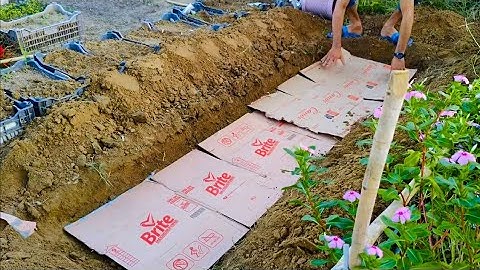 Zero Cost, No Chemicals! Turns Dead Soil To Super Microbe-Rich soil in Days! Plants Will Thank You