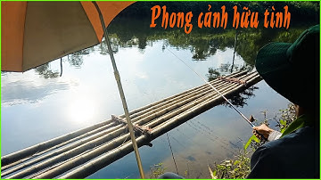 Câu Cá Mương | Câu Cá Giải Trí Và Ẩm Thực