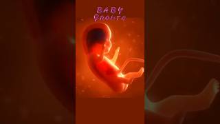 Fetal development in the womb?