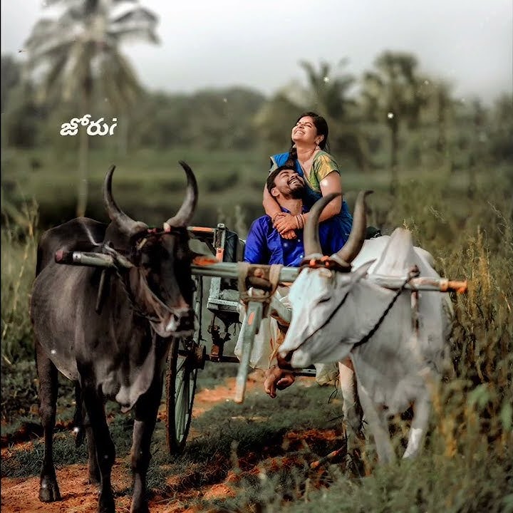 #teligu love song status#kattu kattu bandi jodedla bandi song #telugu lyrics song status
