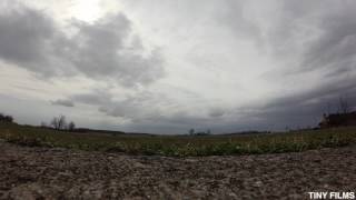 Rainy Day Timelapse - Tiny Films