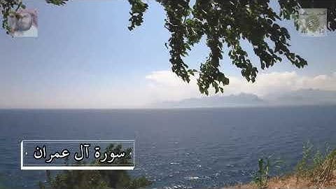 تلاوات مختارة للشيخ سعد الغامدي   مقام الرست