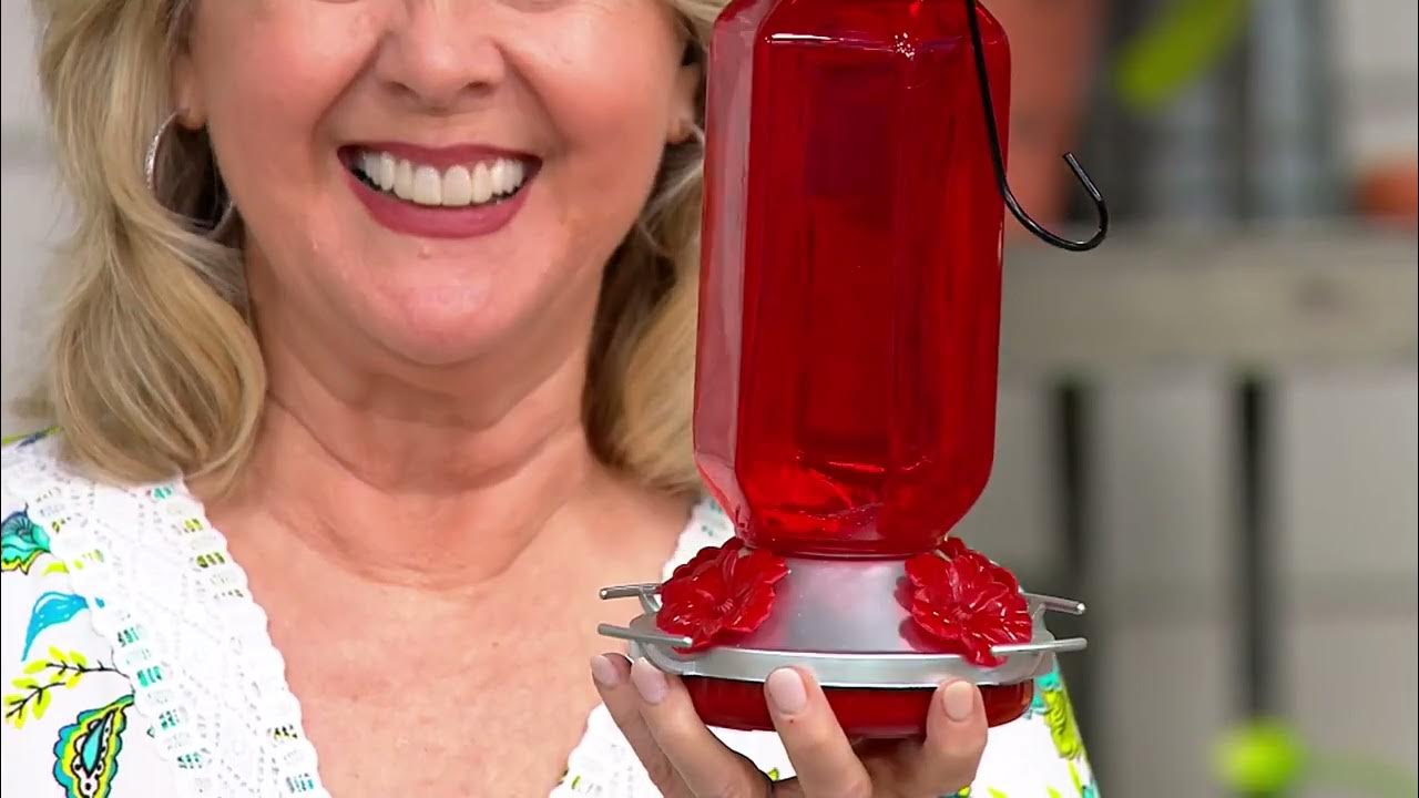 Ultimate Innovations Glass Hummingbird Feeder on QVC YouTube