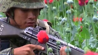 Mexico's murder rate hits 20-year high