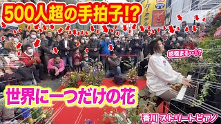 【500人超の拍手👏🏻】花に囲まれた世界に一つだけの空間で商店街を感動に包み込む...【香川ストリートピアノ】