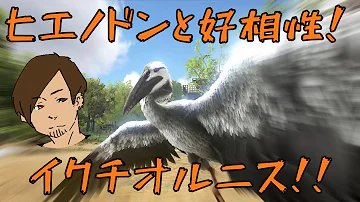 ペゴマスタクス テイム ペゴマスタクス テイム