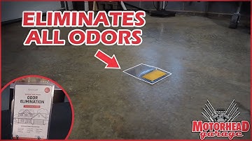 This Product Will Get Rid of ANY Bad Smells