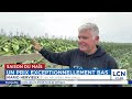 Le blé d’Inde se vend à des prix exceptionnellement bas au Québec cette semaine