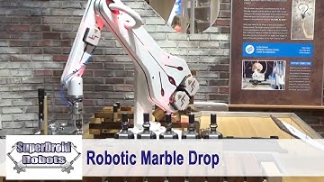 Robotic Marble Drop at Children