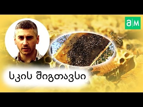 სკის შიგთავსის მომზადება ზამთრისათვის