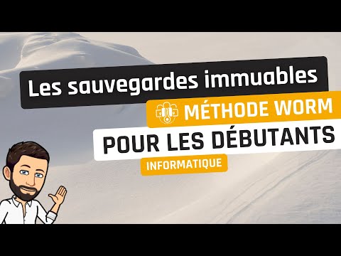 Vidéo: Que signifie l'immuabilité ?