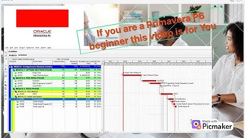 1 Introduction to Primavera P6 Fundamentals