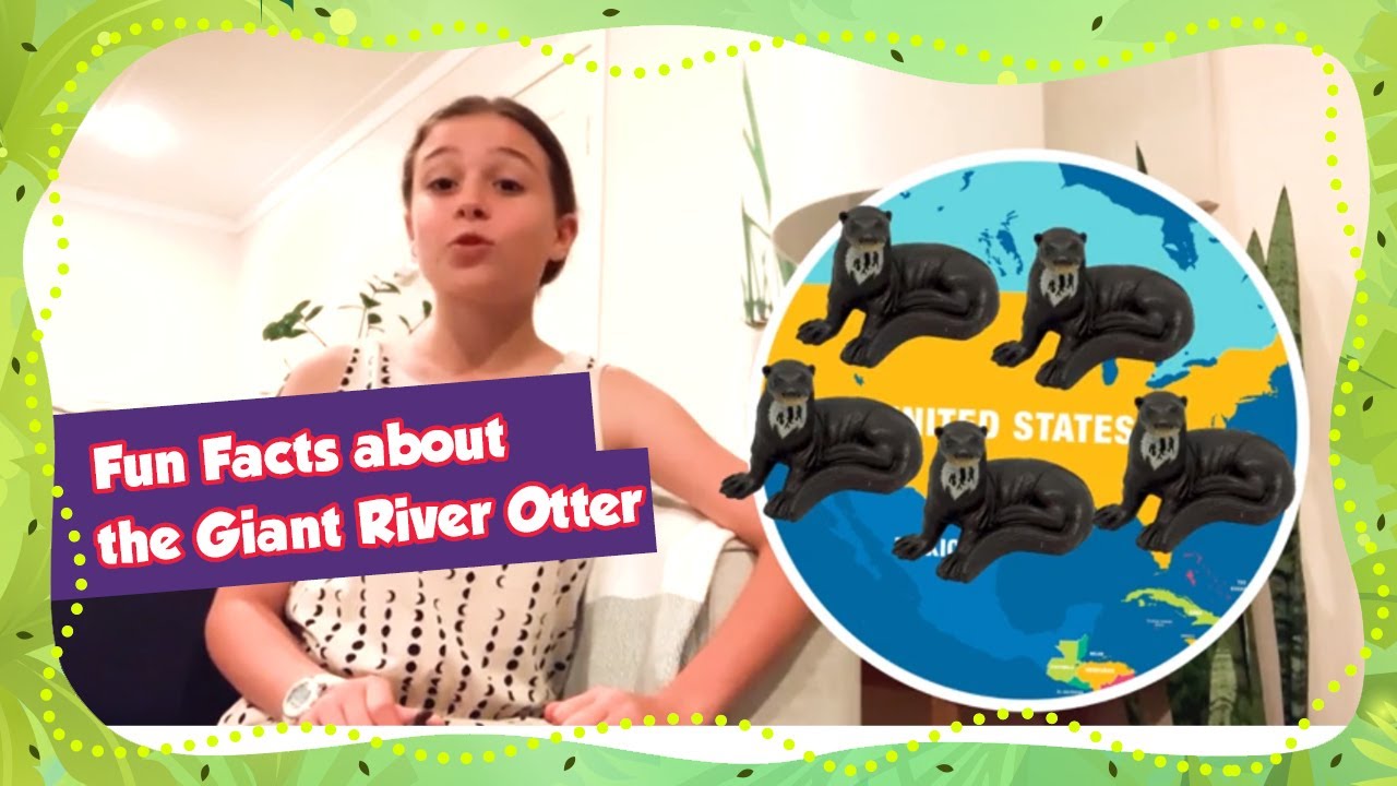 Fun Facts About the Giant River Otter!