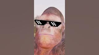 Dodging Dance #arbs Edition #shorts