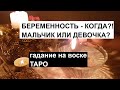 Беременность - когда?!🤰мальчик или девочка?!👼👼🏼#гадание на воске #таро