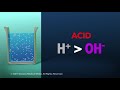 Acids Bases And Neutral Substances Explained