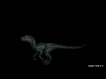 Velociraptor animation test