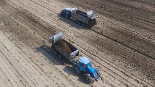 Gavazzoni 2X Landini Landpower 2X Franzosi Komatsu Agrisengo