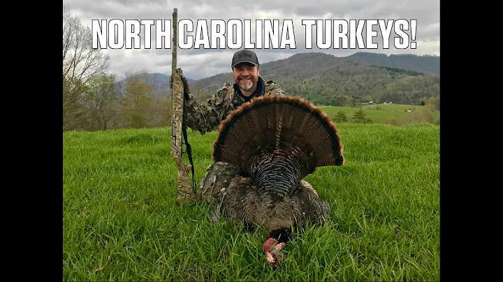 Roanoke Gamelands-Mitche...  County Turkeys |Carol...