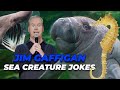 Most Hilarious Sea Creature Stand Up Jokes | Jim Gaffigan