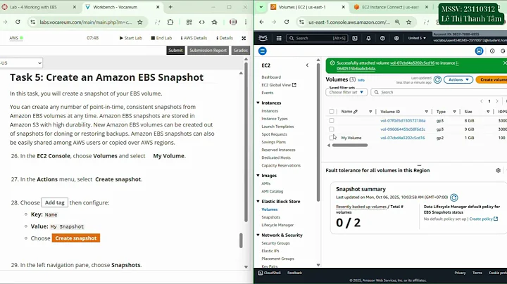 Lab 4 - Working with EBS | Module 7 - Storage